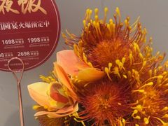 -大鸭梨烤鸭(北洼路店)