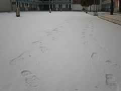 -周口市第四初级中学