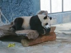 -海南热带野生动植物园