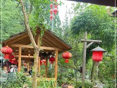 -青城甲(青城山店)