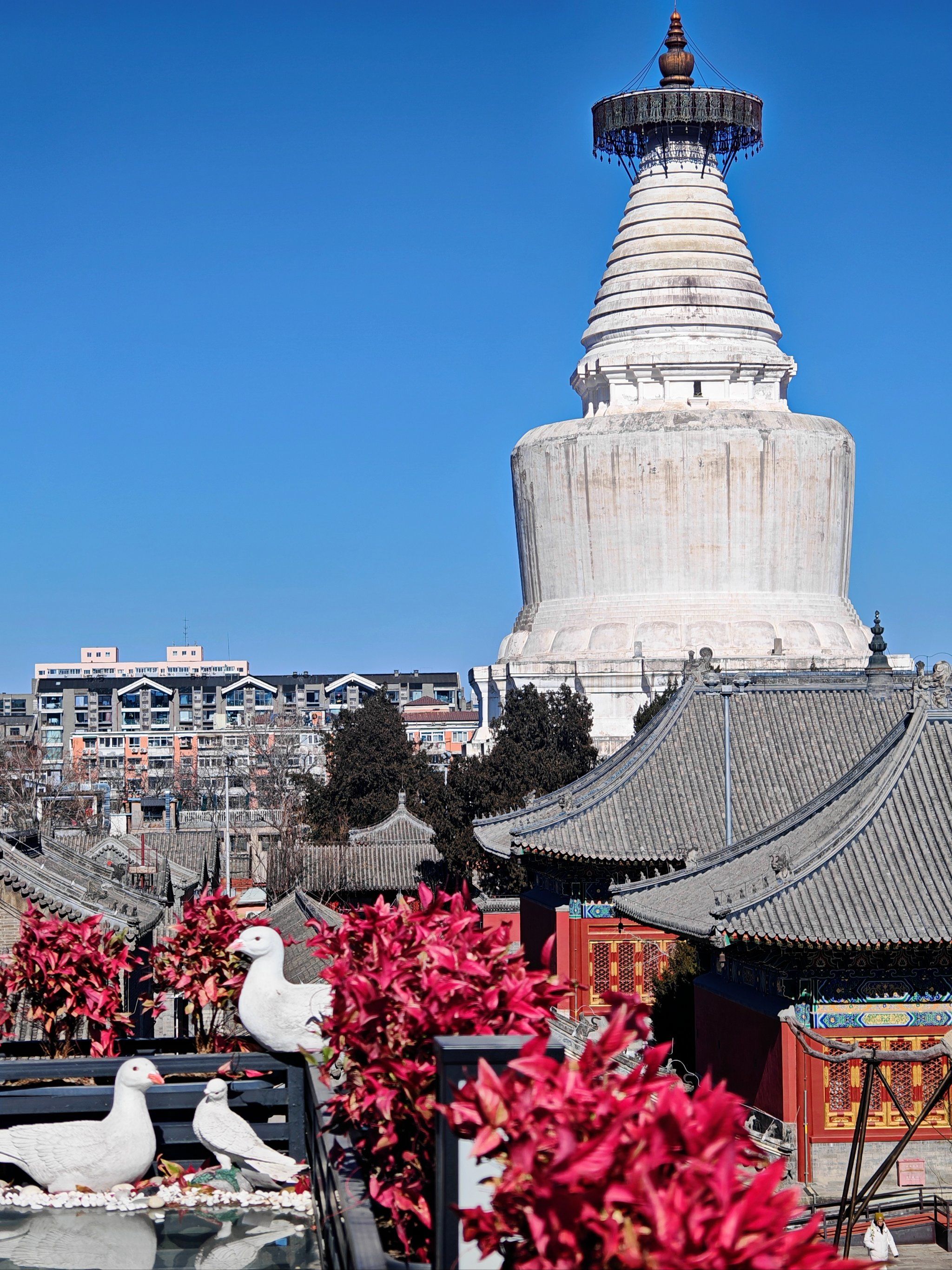 被问爆了的神仙机位「白塔之光」