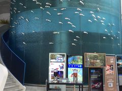 -深圳东部华侨城瀑布酒店