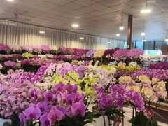 -三圣花乡旅游区