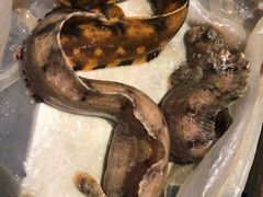 -船奇蒸汽海鲜·闽菜(八市海鲜总店)