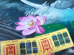 -东北大学附属辽宁爱尔眼科医院