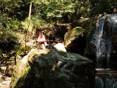 -牛背梁国家森林公园