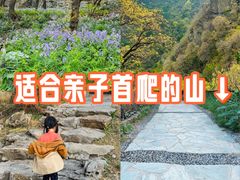 -北京鹫峰国家森林公园