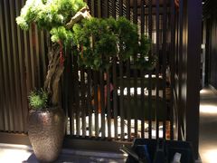 -老头儿油爆虾(星光一期店)