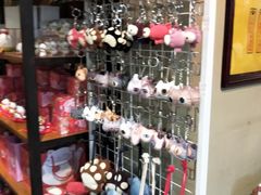 -猫咪博物馆(顶澳仔猫街店)