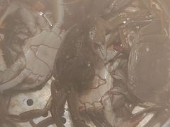 -聚盛源蒸汽海鲜火锅烤肉自助(巨川金海岸购物广场店)