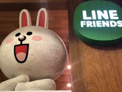 -line friends(明洞旗舰店)