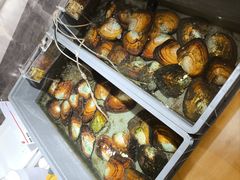 -十八字金·银饰·拼豆·开蚌DIY(魏公芳华里店)