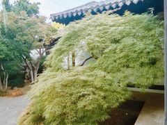 -常熟方塔园