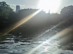-晓港公园