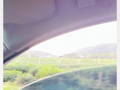 -中国茶叶博物馆(双峰馆区)
