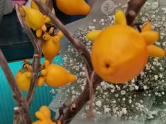 -BoBloom花店(晶耀前滩店)