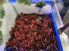 -圣罗巴海鲜烤肉自助(新乡万达店)