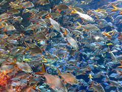 -成都浩海立方海洋公园