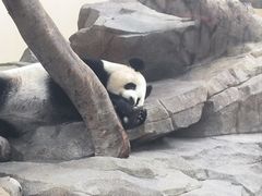 -宁波野生动物园