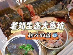 -老刘生态大鱼坊铁锅炖鱼(赛马场店)