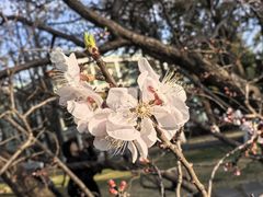 -西昌邛海宾馆