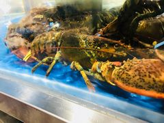 -盒马鲜生(莱蒙都会店)