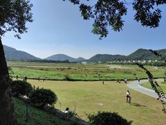 -风云岭森林公园