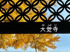 -大觉寺-停车场