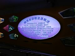 -陕西自然博物馆