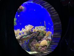 -杭州海底世界