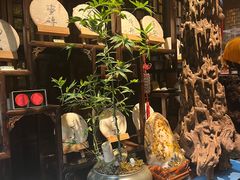 -普洱茶府(博乐广场店)