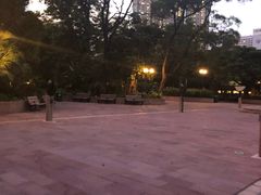 -九龙公园