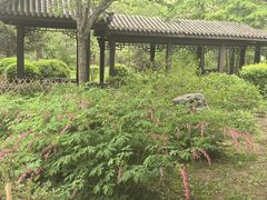 -黑龙江省森林植物园