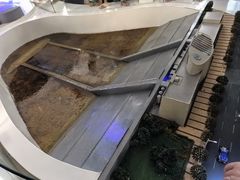 -白鹤梁水下博物馆