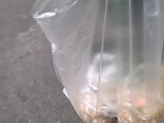 -六广门毛阿姨糯米饭
