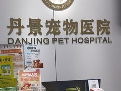 -丹景宠物医院·全科·老年病·牙科(武昌诊疗中心)