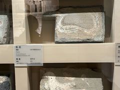 -敦煌市博物馆