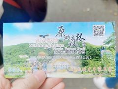 -西双版纳原始森林公园