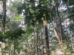 -打洛口岸