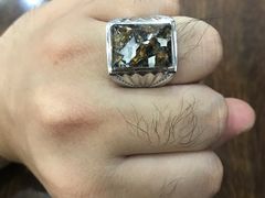 -志强陨石馆(双季花艺店)