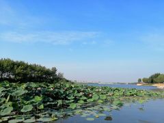 -丁香湖公园