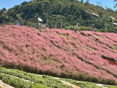 -沂蒙云瀑洞天景区