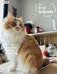 -沫儿·美甲美睫·半永久·皮肤管理