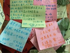 泸沽肴-泸沽肴(泸沽湖大洛水村农村信用社旁店)