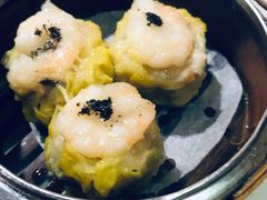 -糖朝(尖沙咀店)