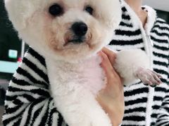 -佳雯宠物医院·皮肤科·内外科(春晓路分院)