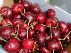 -江杨农产品批发市场