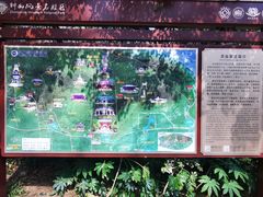 -灵谷景区