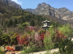 -神农山景区