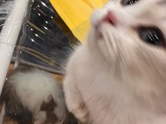 -成都世纪城新国际会展中心